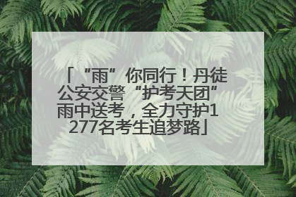 “雨”你同行！丹徒公安交警“护考天团”雨中送考，全力守护1277名考生追梦路