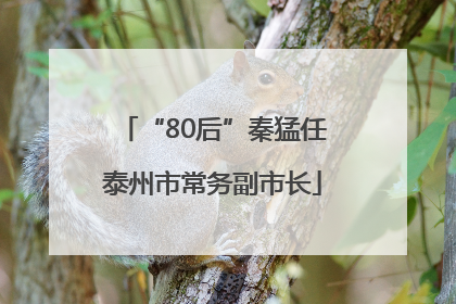 “80后”秦猛任泰州市常务副市长