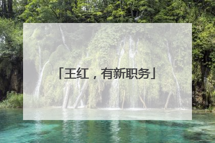 王红，有新职务