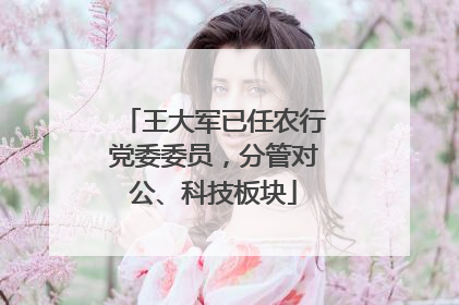 王大军已任农行党委委员，分管对公、科技板块