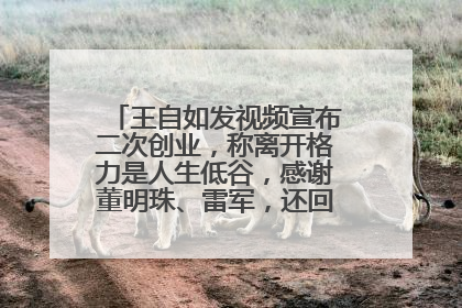 王自如发视频宣布二次创业，称离开格力是人生低谷，感谢董明珠、雷军，还回应了“工资条”：清楚自己要什么……