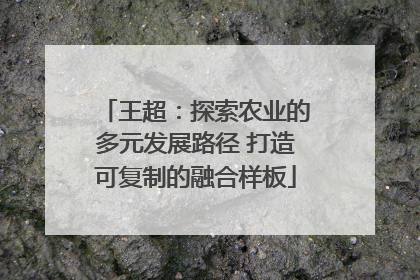 王超：探索农业的多元发展路径 打造可复制的融合样板