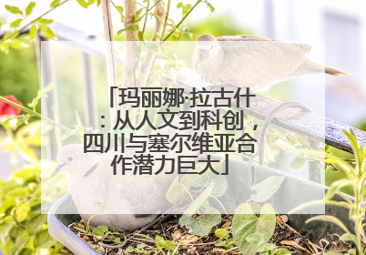 玛丽娜·拉古什：从人文到科创，四川与塞尔维亚合作潜力巨大