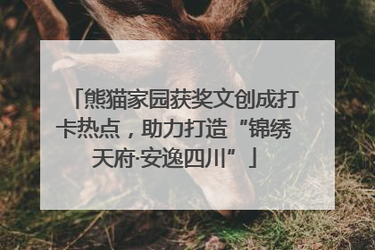 熊猫家园获奖文创成打卡热点，助力打造“锦绣天府·安逸四川”