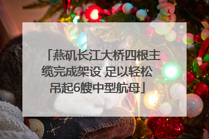 燕矶长江大桥四根主缆完成架设 足以轻松吊起6艘中型航母