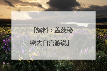 爆料：盖茨秘密去白宫游说