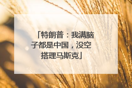 特朗普：我满脑子都是中国，没空搭理马斯克