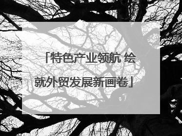 特色产业领航 绘就外贸发展新画卷