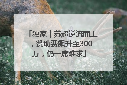 独家｜苏超逆流而上，赞助费飙升至300万，仍一席难求