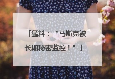 猛料：“马斯克被长期秘密监控！”