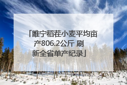 睢宁稻茬小麦平均亩产806.2公斤 刷新全省单产纪录