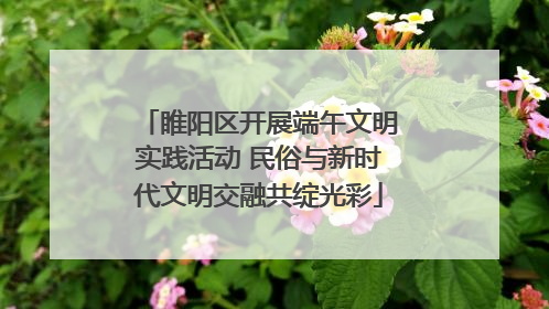 睢阳区开展端午文明实践活动 民俗与新时代文明交融共绽光彩