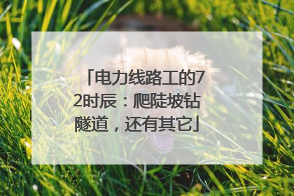 电力线路工的72时辰：爬陡坡钻隧道，还有其它