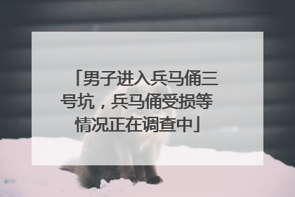 男子进入兵马俑三号坑，兵马俑受损等情况正在调查中