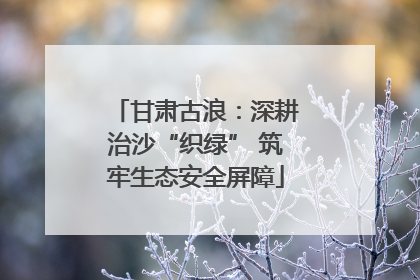 甘肃古浪：深耕治沙“织绿” 筑牢生态安全屏障
