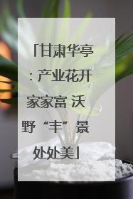 甘肃华亭：产业花开家家富 沃野“丰”景处处美