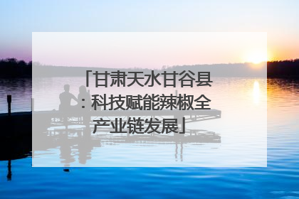 甘肃天水甘谷县：科技赋能辣椒全产业链发展