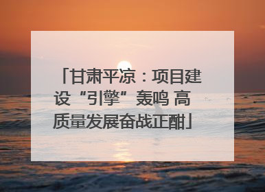 甘肃平凉：项目建设“引擎”轰鸣 高质量发展奋战正酣