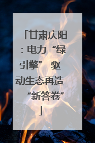 甘肃庆阳：电力“绿引擎” 驱动生态再造“新答卷”