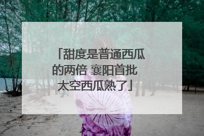 甜度是普通西瓜的两倍 襄阳首批太空西瓜熟了