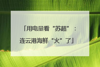 用电量看“苏超”：连云港海鲜“火”了