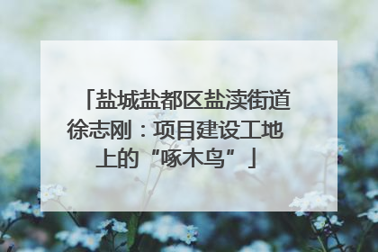 盐城盐都区盐渎街道徐志刚：项目建设工地上的“啄木鸟”