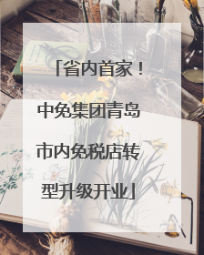 省内首家！中免集团青岛市内免税店转型升级开业