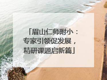 眉山仁师附小：专家引领促发展，精研课题启新篇