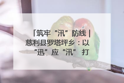 筑牢“汛”防线｜慈利县罗塔坪乡：以“迅”应“汛” 打赢暴雨防御战