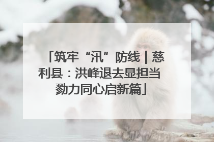 筑牢“汛”防线｜慈利县：洪峰退去显担当 勠力同心启新篇