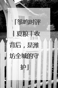 筝鸣时评丨夏粮丰收背后，是潍坊全城的守护