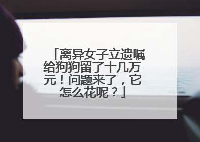 离异女子立遗嘱给狗狗留了十几万元！问题来了，它怎么花呢？