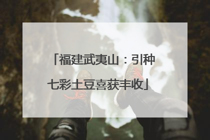 福建武夷山：引种七彩土豆喜获丰收