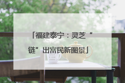 福建泰宁：灵芝“链”出富民新图景