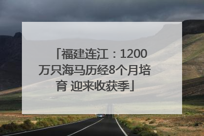 福建连江：1200万只海马历经8个月培育 迎来收获季