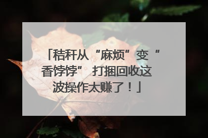 秸秆从“麻烦”变“香饽饽” 打捆回收这波操作太赚了！