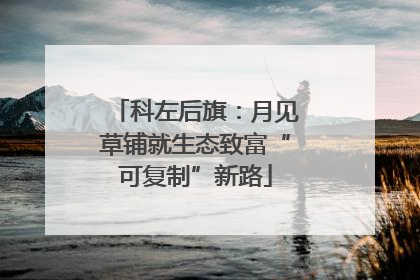 科左后旗：月见草铺就生态致富“可复制”新路