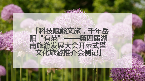 科技赋能文旅，千年岳阳“有范”——第四届湖南旅游发展大会开幕式暨文化旅游推介会侧记