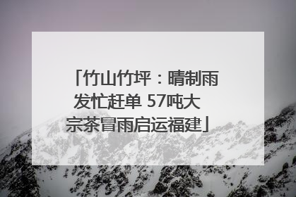 竹山竹坪：晴制雨发忙赶单 57吨大宗茶冒雨启运福建