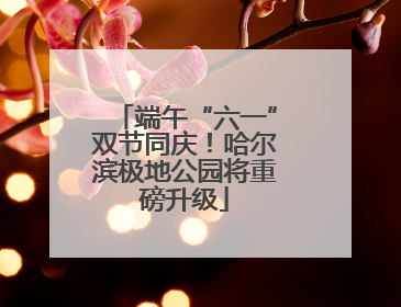 端午“六一”双节同庆！哈尔滨极地公园将重磅升级