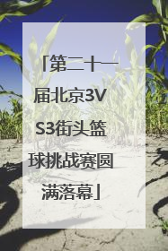 第二十一届北京3VS3街头篮球挑战赛圆满落幕