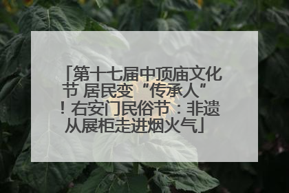 第十七届中顶庙文化节 居民变“传承人”！右安门民俗节：非遗从展柜走进烟火气