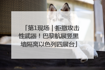 第1现场｜拒撤攻击性武器！巴黎航展竖黑墙隔离以色列四展台