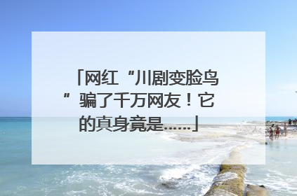 网红“川剧变脸鸟”骗了千万网友！它的真身竟是……