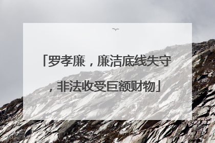 罗孝廉，廉洁底线失守，非法收受巨额财物