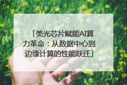 美光芯片赋能AI算力革命：从数据中心到边缘计算的性能跃迁