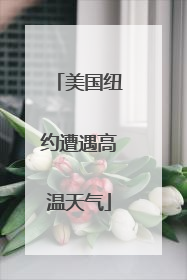 美国纽约遭遇高温天气