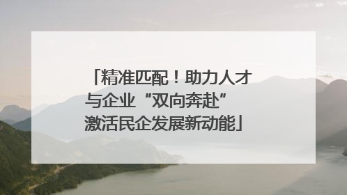 精准匹配！助力人才与企业“双向奔赴” 激活民企发展新动能