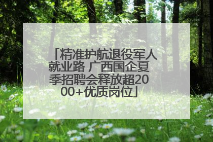 精准护航退役军人就业路 广西国企夏季招聘会释放超2000+优质岗位