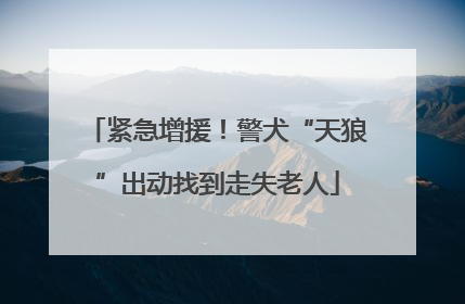 紧急增援！警犬“天狼”出动找到走失老人